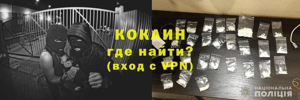 ГАЛЛЮЦИНОГЕННЫЕ ГРИБЫ Гусев