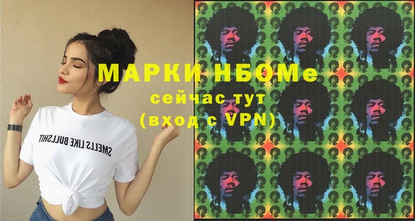 прущие грибы Медногорск