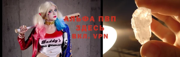 прущие грибы Медногорск