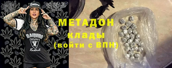 прущие грибы Медногорск