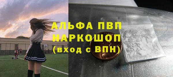 прущие грибы Медногорск